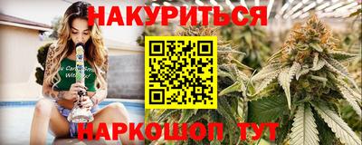 мяу мяу мука Аргун