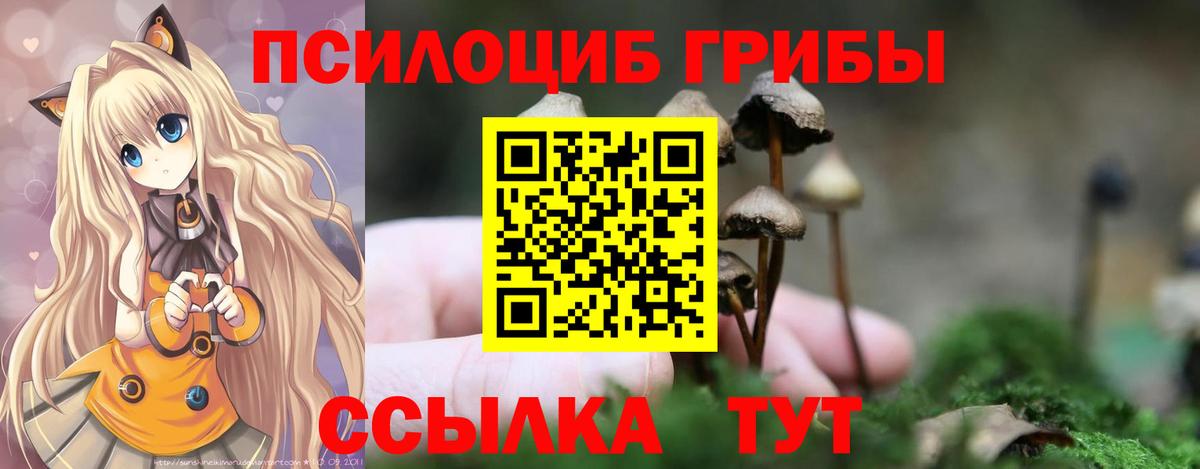 Галлюциногенные грибы Psilocybe  Галлюциногенные грибы GOLDEN TEACHER  Богданович  наркошоп  Вход с VPN 
